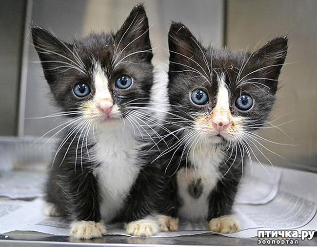 ���� 12: ��� � ����� ��� ������� ������������