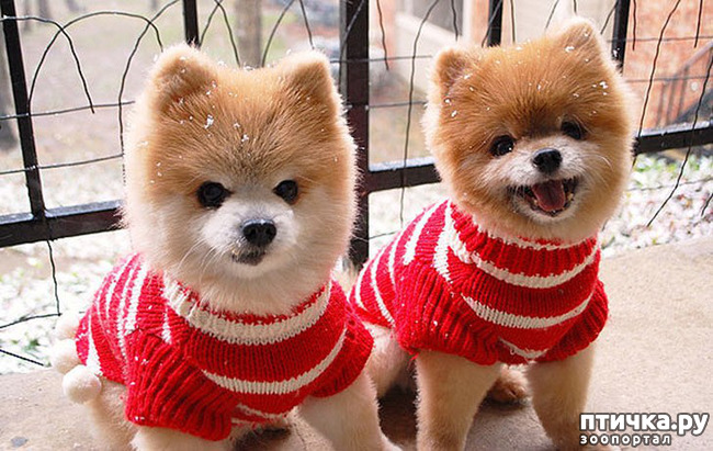 ���� 15: ��� � ����� ��� ������� ������������