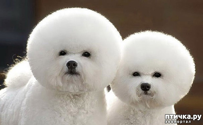 ���� 19: ��� � ����� ��� ������� ������������