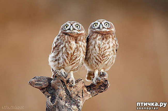 ���� 23: ��� � ����� ��� ������� ������������