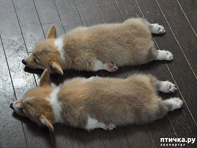 ���� 26: ��� � ����� ��� ������� ������������