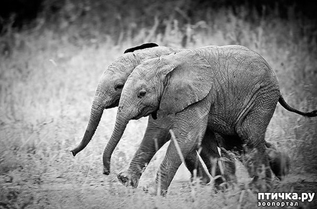 ���� 27: ��� � ����� ��� ������� ������������