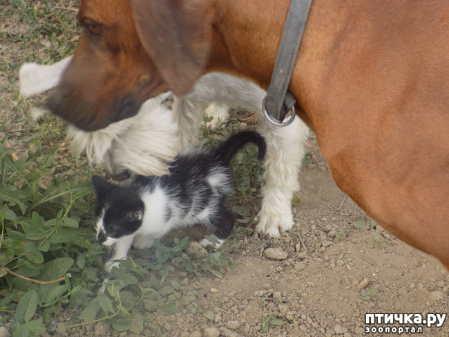 ���� 5: ��� �� � ����