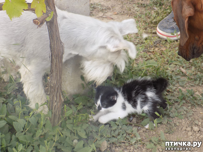 ���� 6: ��� �� � ����