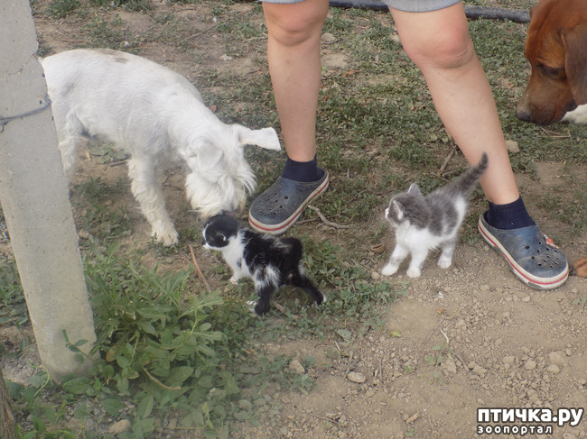 ���� 7: ��� �� � ����