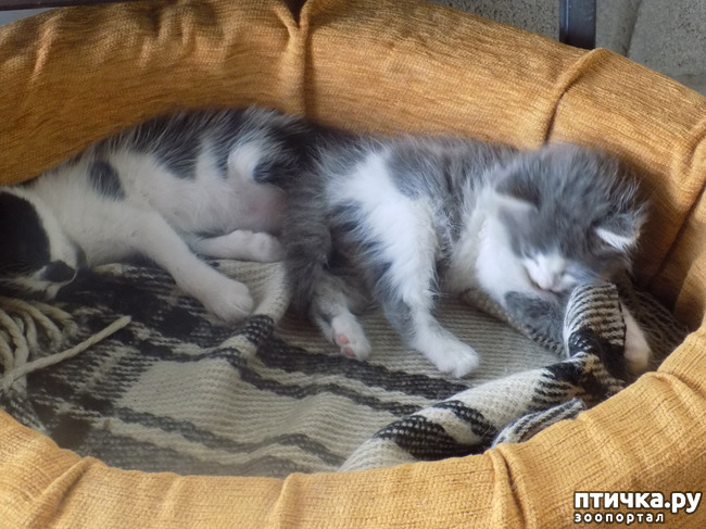 ���� 9: ��� �� � ����