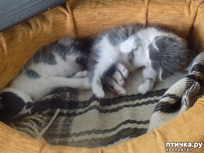 ���� 10: ��� �� � ����