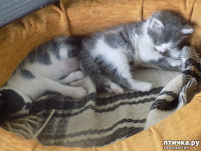 ���� 11: ��� �� � ����