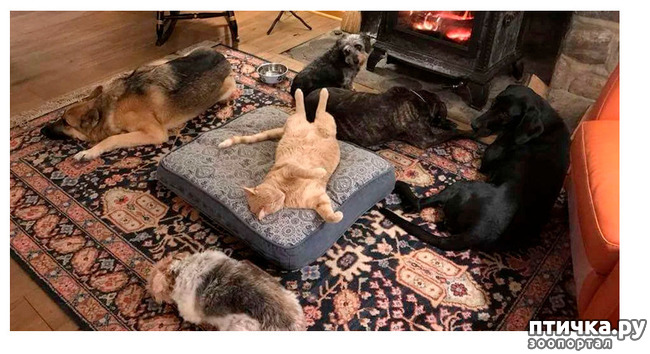 ���� 1: ��� � ���� ������