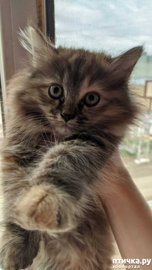 ����: ������ � ���� � ��� 10 ������