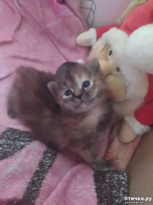 ���� 2: ������ � ���� � ��� 10 ������