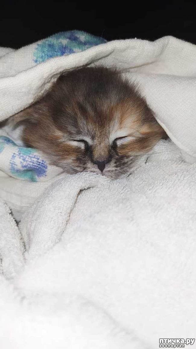 ���� 3: ������ � ���� � ��� 10 ������