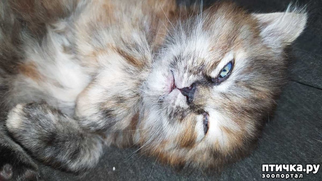 ���� 4: ������ � ���� � ��� 10 ������