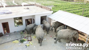 фотография: Не было бы счастья, да несчастье помогло! фото: Не было бы счастья, да несчастье помогло!