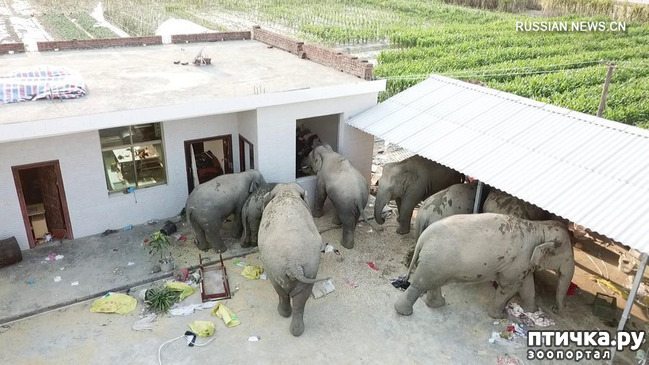 ���� 1: �� ���� �� �������, �� ��������� �������!