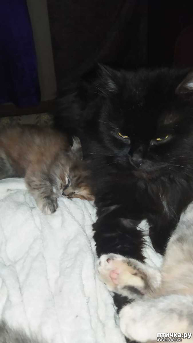 ���� 5: ������ � ���� � ��� 10 ������