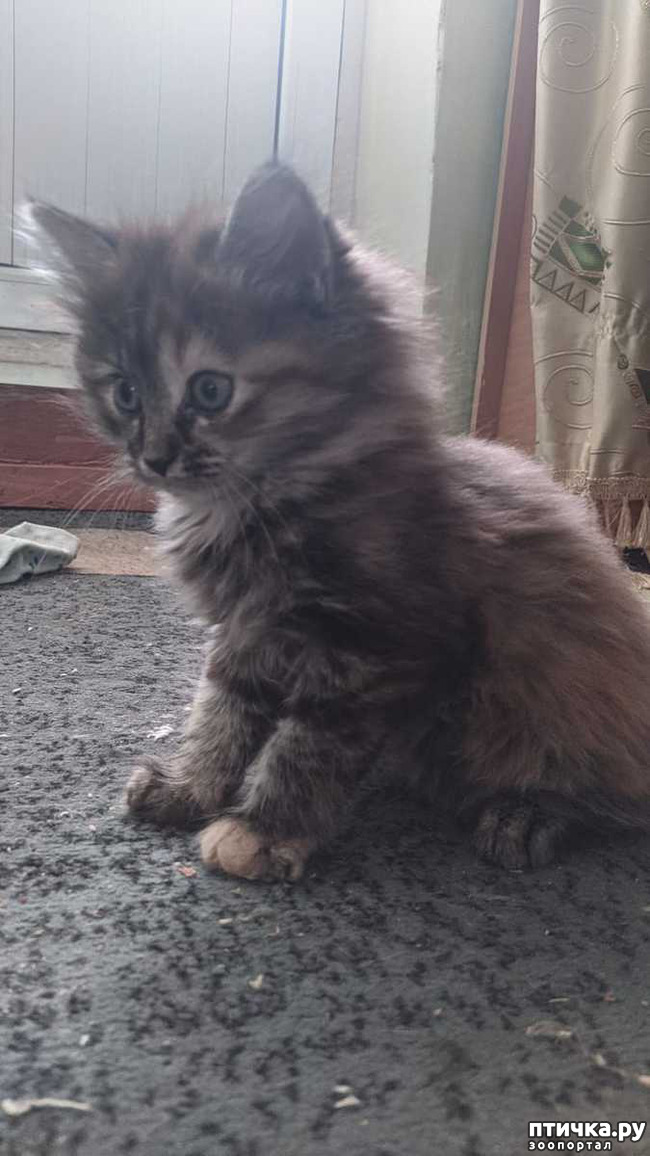 ���� 6: ������ � ���� � ��� 10 ������