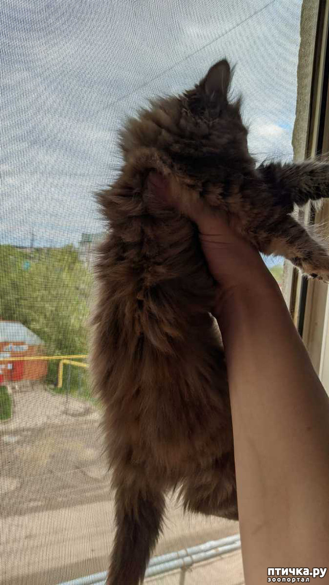 ���� 7: ������ � ���� � ��� 10 ������