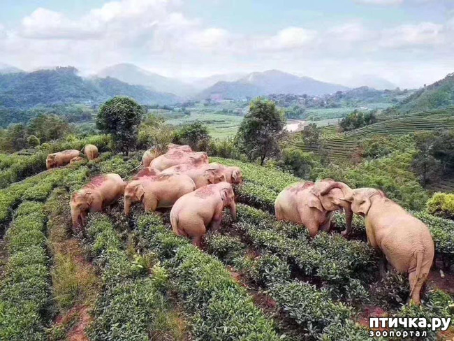 ���� 2: �� ���� �� �������, �� ��������� �������!