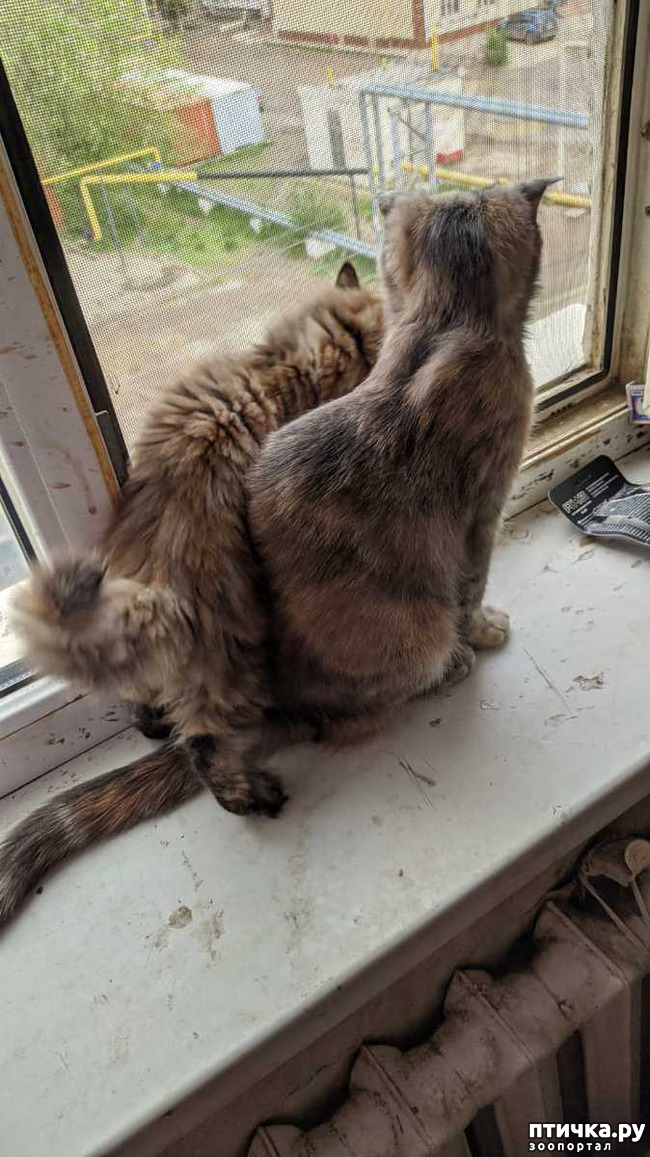 ���� 8: ������ � ���� � ��� 10 ������