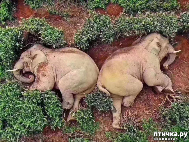 ���� 3: �� ���� �� �������, �� ��������� �������!