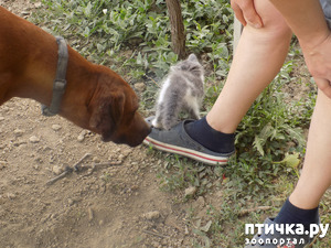 ����: ��� �� � ����