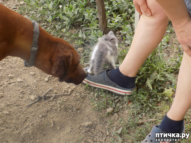 ���� 1: ��� �� � ����