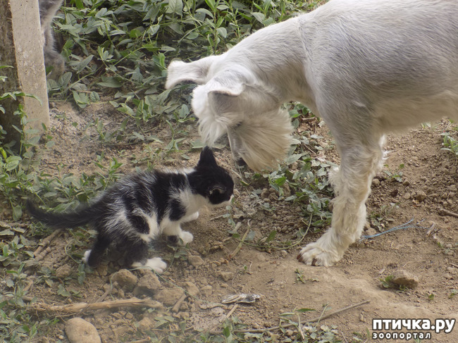 ���� 2: ��� �� � ����