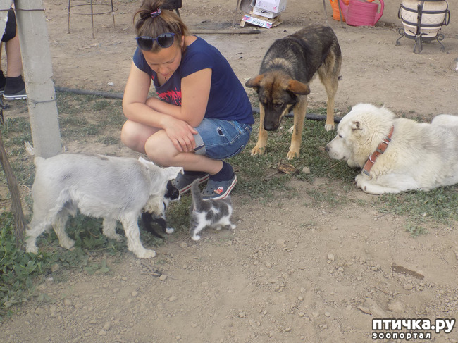 ���� 3: ��� �� � ����