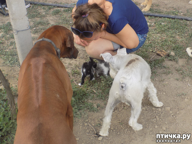 ���� 4: ��� �� � ����