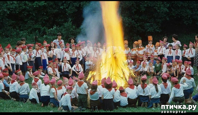 ���� 5: � ���� ��������!