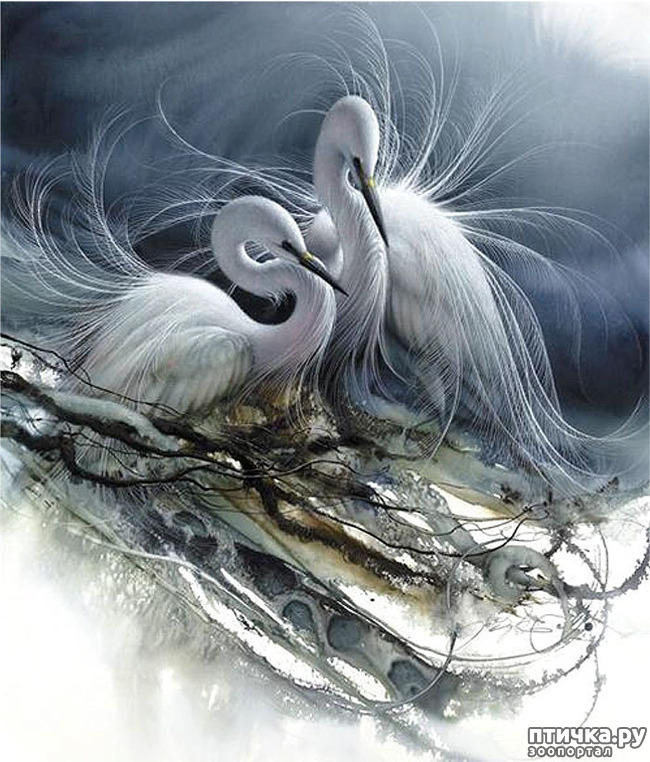 ���� 7: �� � ����� ����