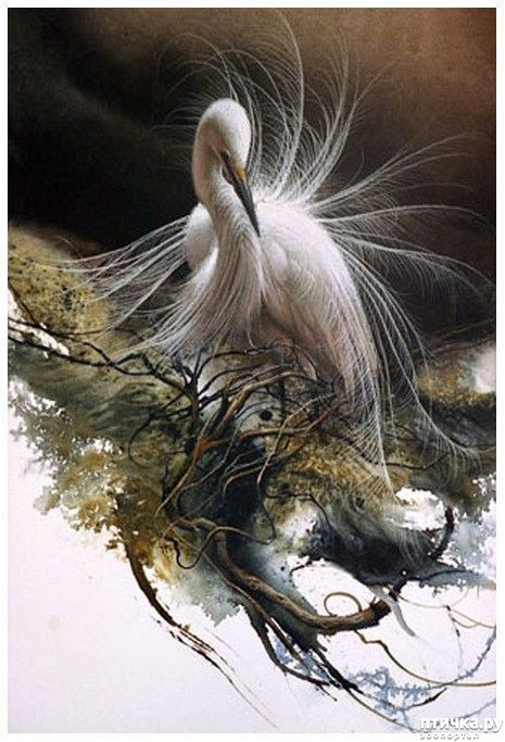 ���� 8: �� � ����� ����