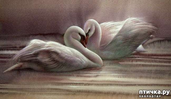 ���� 9: �� � ����� ����