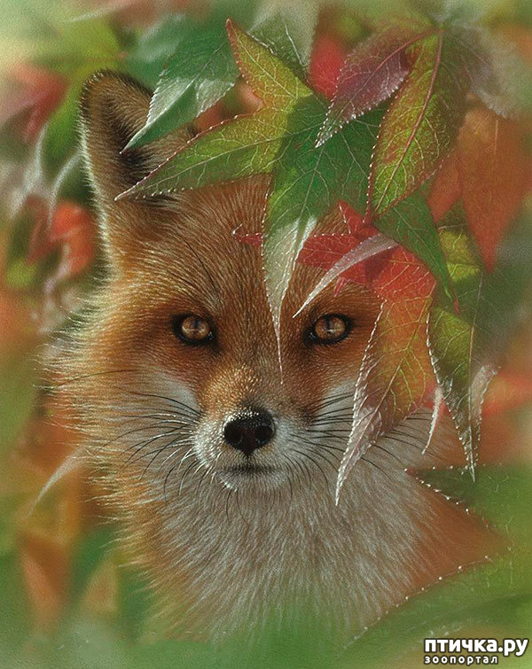 ���� 11: �� � ����� ����