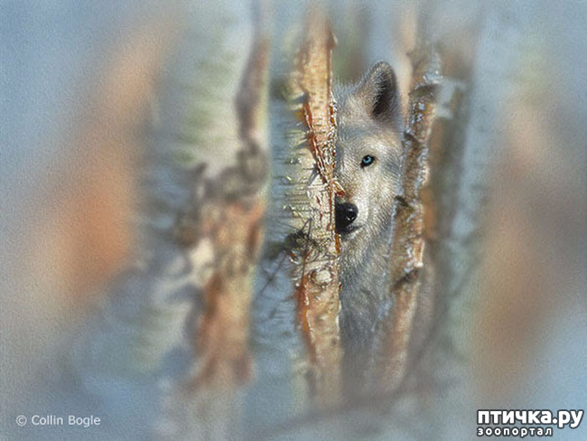 ���� 12: �� � ����� ����