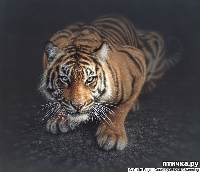 ���� 13: �� � ����� ����