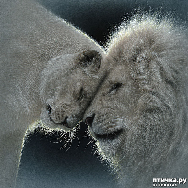 ���� 15: �� � ����� ����