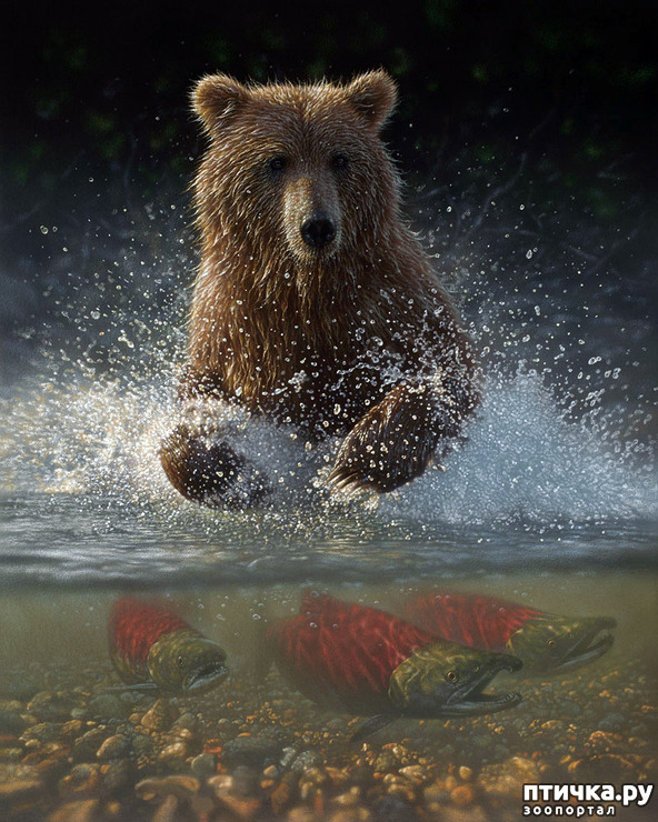 ���� 18: �� � ����� ����