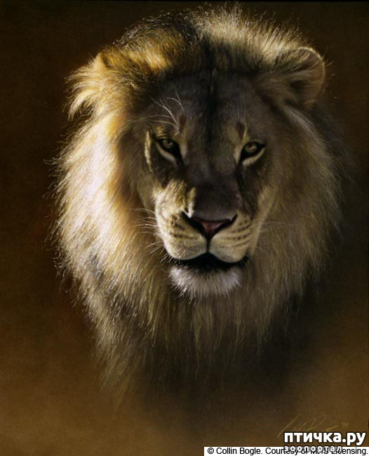 ���� 20: �� � ����� ����