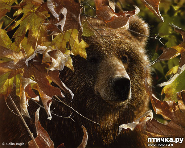 ���� 19: �� � ����� ����