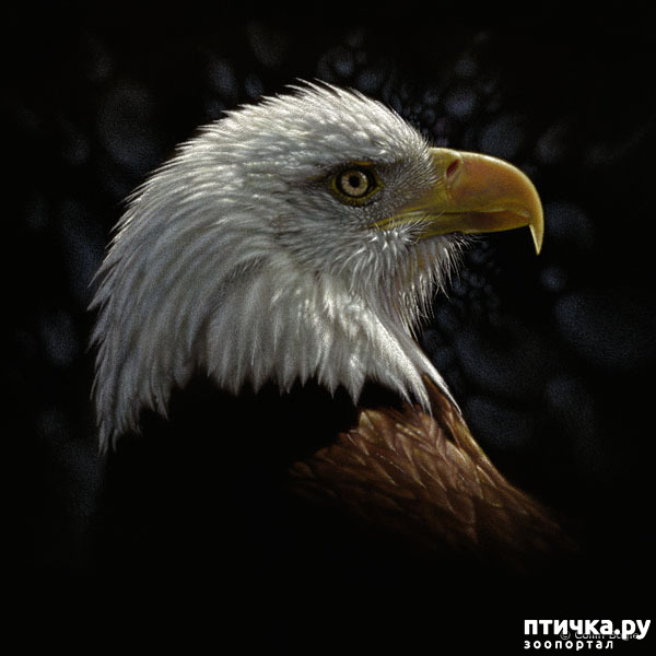 ���� 23: �� � ����� ����