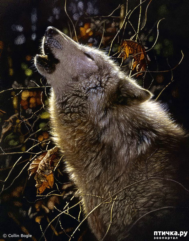 ���� 25: �� � ����� ����