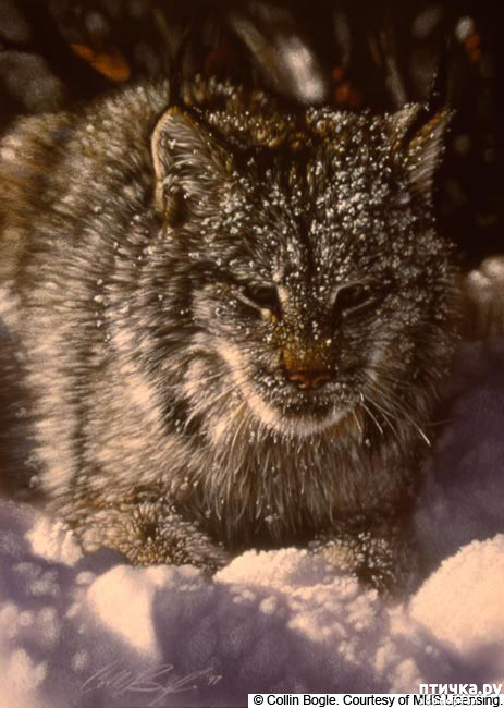 ���� 29: �� � ����� ����