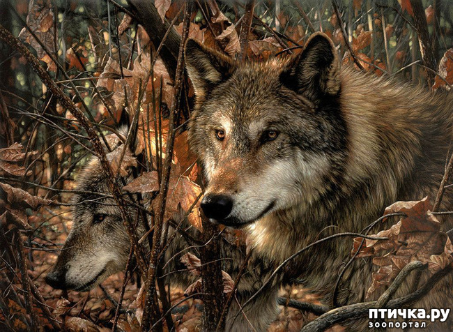 ���� 22: �� � ����� ����