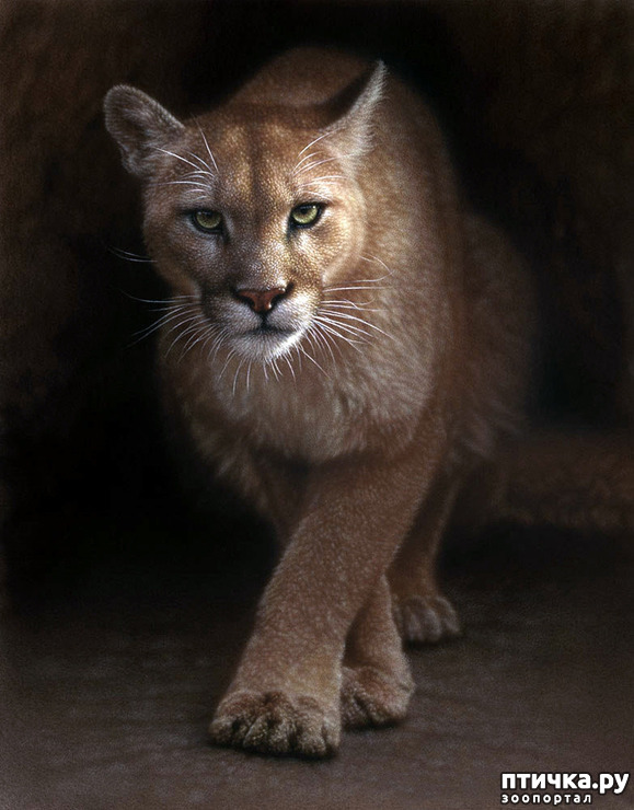 ���� 28: �� � ����� ����