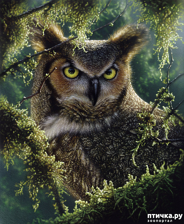 ���� 24: �� � ����� ����