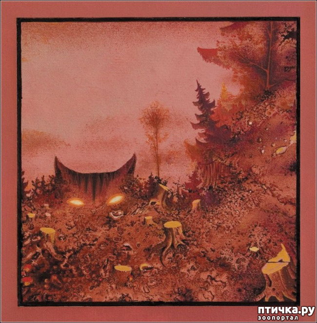 ���� 12: �������� ��������� ��� ������ �� ���� �����!