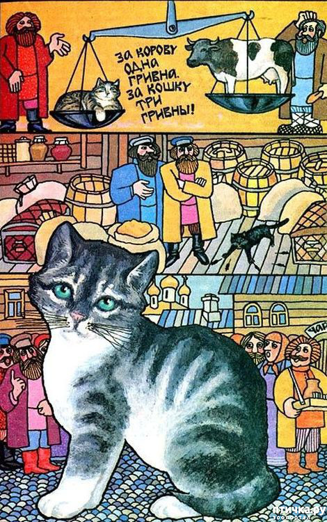 ���� 7: �������� ��������� ��� ������ �� ���� �����!