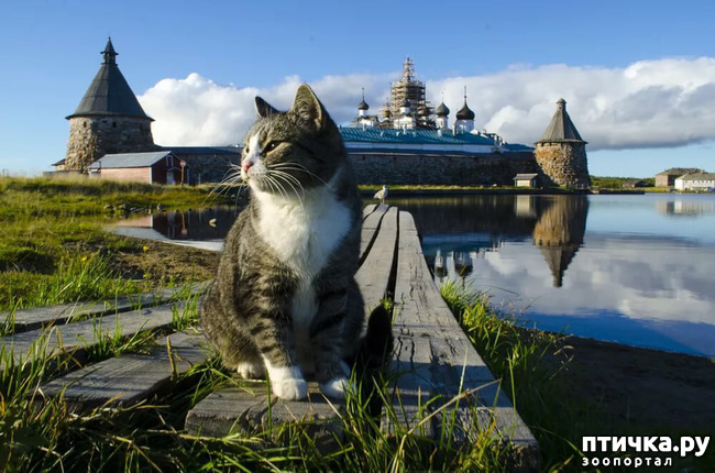 ���� 1: �������� ��������� ��� ������ �� ���� �����!